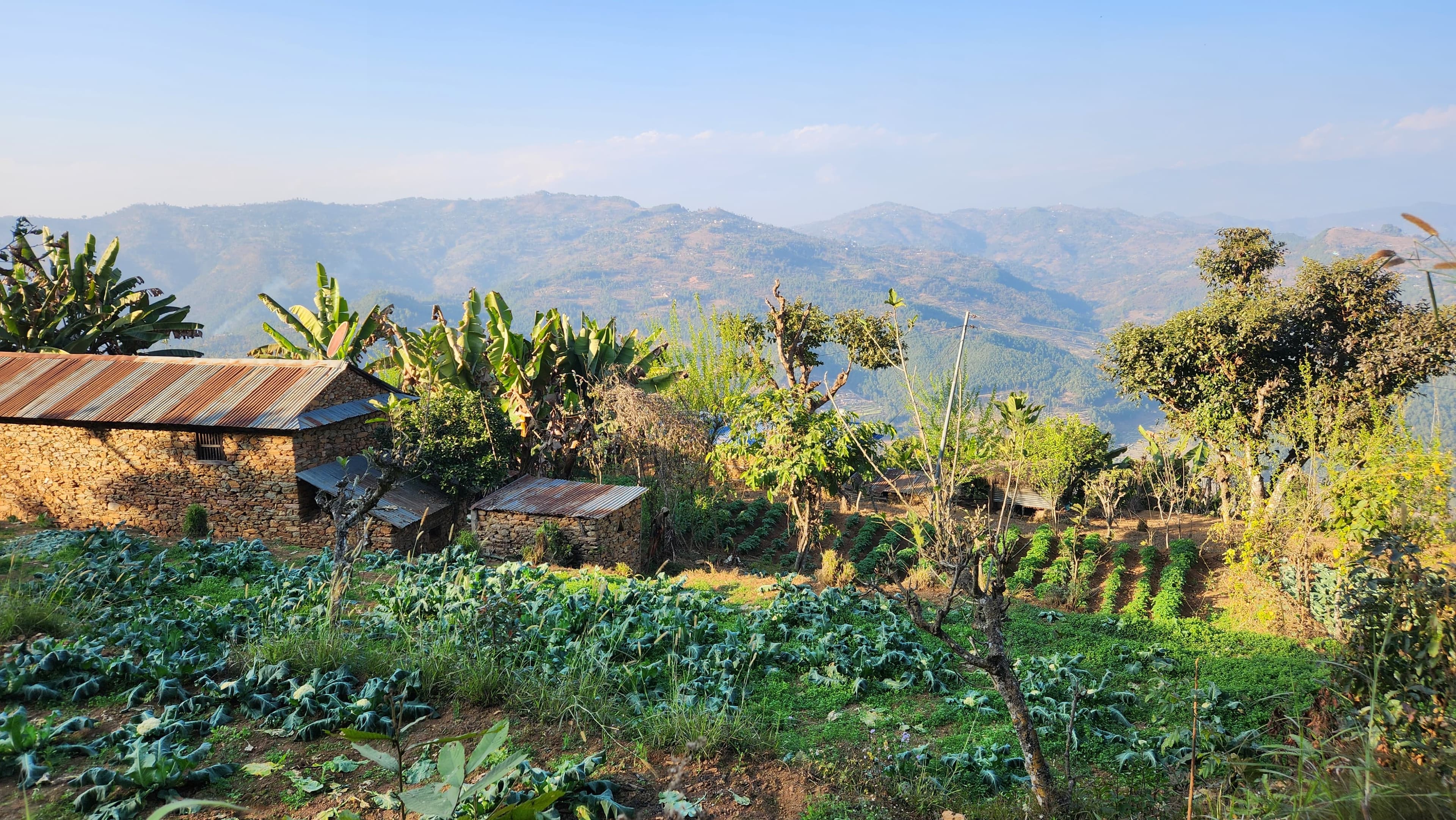 Biochar Project in Nepal